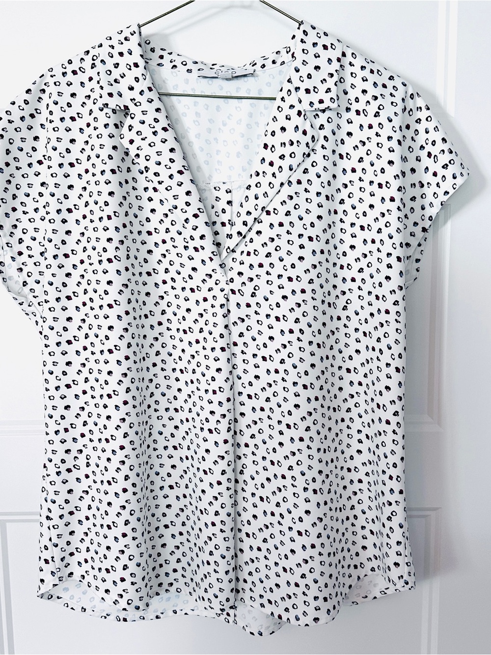 V-Neck Leopard Print Top